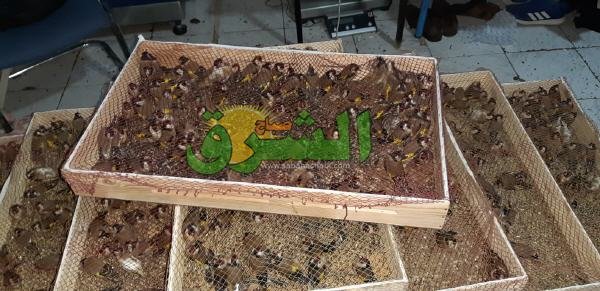 WhatsApp Image 2019 11 13 at 15.45.18 - www.sabahachark.com