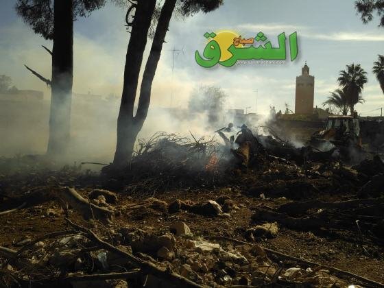 103e0ea6 f89e 4e95 b822 ce8e7f283dab - www.sabahachark.com