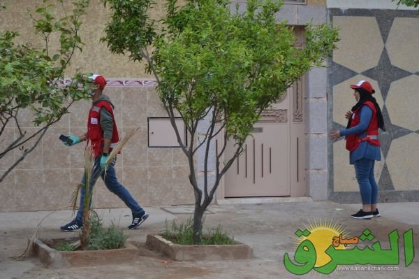 SC 0018 - www.sabahachark.com