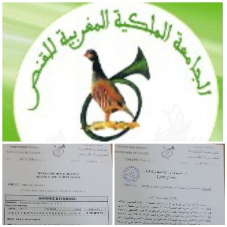 الجامعة الملكية المغربية للقنص تساهم بمبلغ 500 مليون سنتيم في الصندوق الخاص بتدبير فيروس “كورونا” المستجد