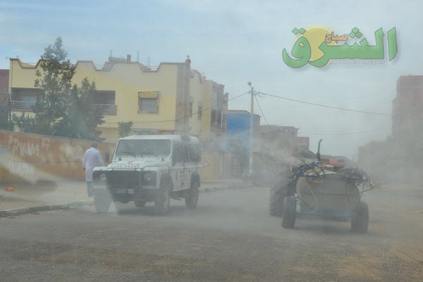 DSC 0153 - www.sabahachark.com