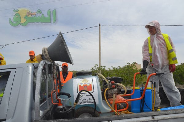 DSC 0254 - www.sabahachark.com