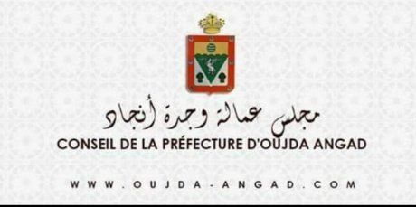 بمبادرة من مجلس عمالة وجدة أنكاد مدينة وجدة تصنع بوابة أتوماتيكية للتعقيم ضد فيروس كورونا: