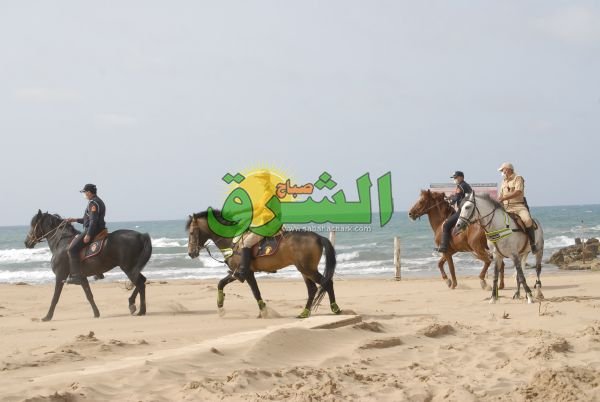  الإقليمية لأمن السعيدية 5 - www.sabahachark.com