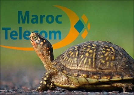 ضعف صبيب الأنترنت يغضب ساكنة العيون منذ فرض حالة الطوارئ