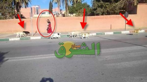 06 - www.sabahachark.com