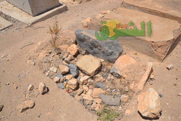 DSC 0014 - www.sabahachark.com