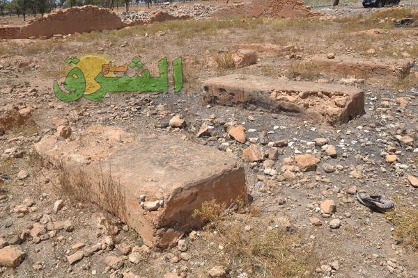 DSC 0027 - www.sabahachark.com