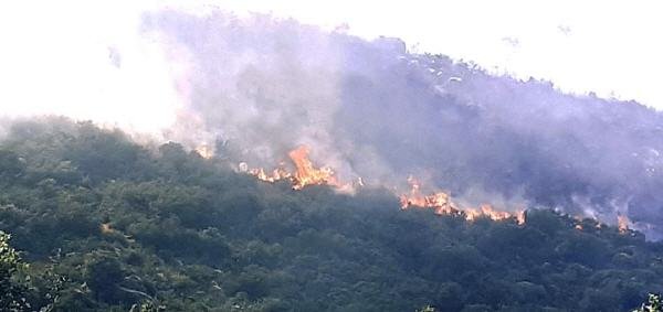 index2 1 - www.sabahachark.com