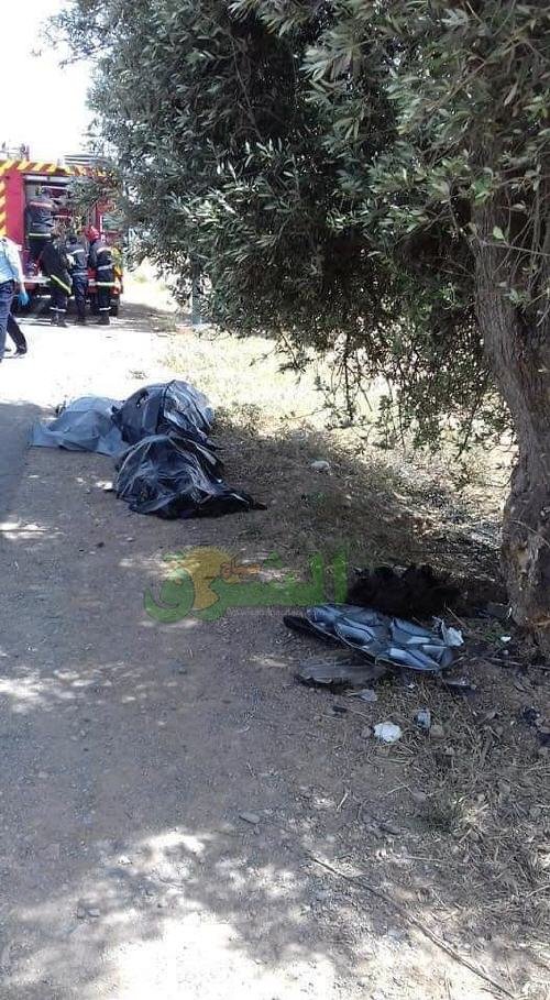 index2 2 - www.sabahachark.com