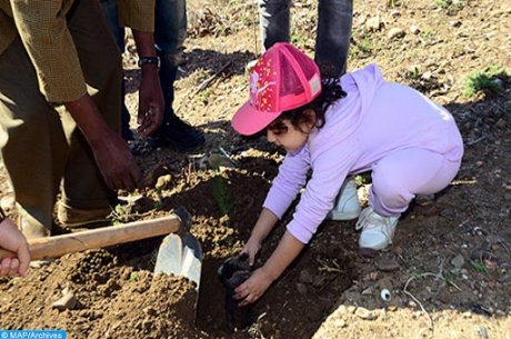 معا من أجل الحق في بيئة مستدامة” موضوع مشروع أطلق” ببركان