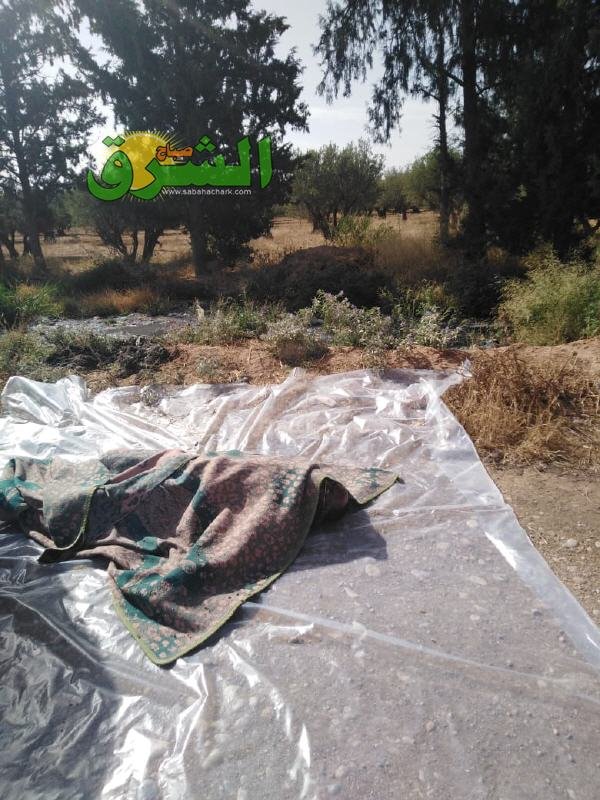 05 2 - www.sabahachark.com