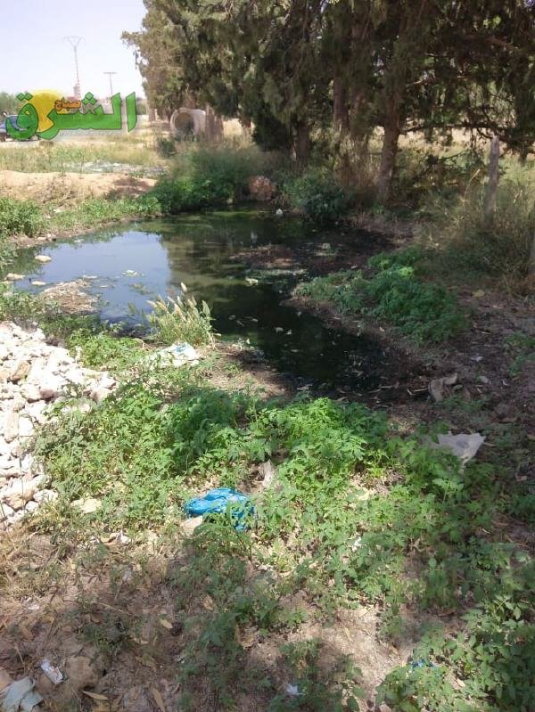 109366074 1109137272804760 1146491308507190401 n - www.sabahachark.com