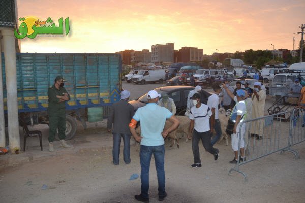 DSC 0005 - www.sabahachark.com