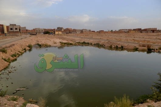 البعوض يقضُّ مضجع ساكنة حي عين الدفلة بالعيون وسط صمت الجهات المختصة