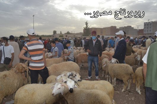 روبورتاج مصور.. عيد الأضحى.. كسابون و أرباب أسر في مواجهة كورونا