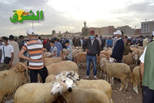 عيد الأضحى بين الوفرة في العرض و ضعف الطلب