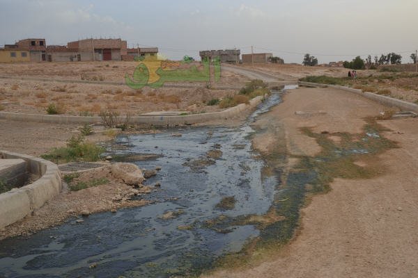 DSC 0075 - www.sabahachark.com