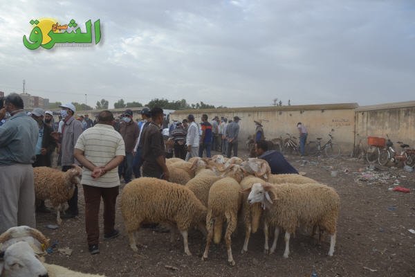 DSC 0076 - www.sabahachark.com