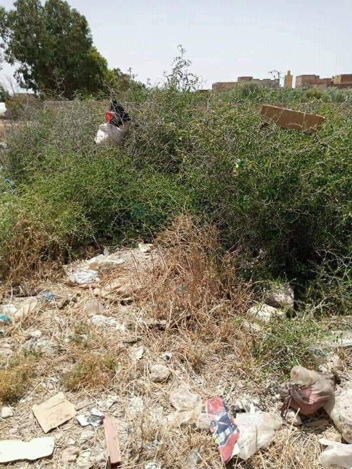 تراكم الأزبال يحول أحياء مدينة العيون إلى مستنقع لمختلف أنواع النفيات والحشرات