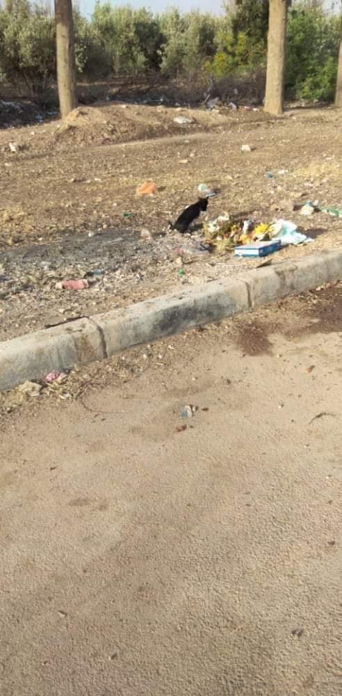 FB IMG 1593989286180 - www.sabahachark.com