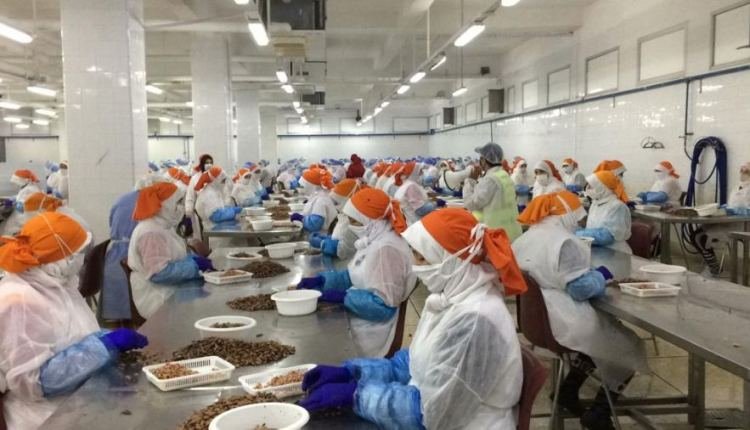 لهذا السبب تم إغلاق المئات من المقاولات والمراكز التجارية لعدم احترامها تدابير السلامة (اللائحة)