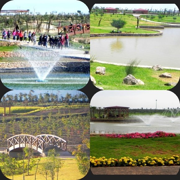 inCollage 20200710 220557030 copy   - www.sabahachark.com