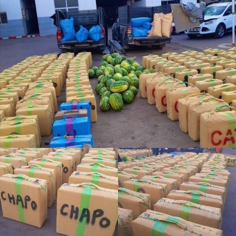 حجز أزيد من 4 أطنان من مخدر الشيرا بمدينة أكادير