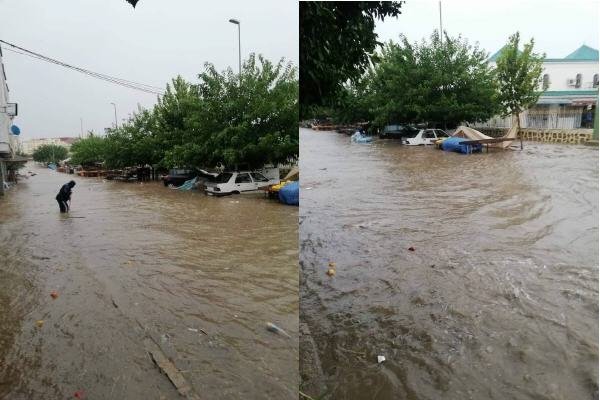 117636677 765346267547680 7129050745045493529 n - www.sabahachark.com