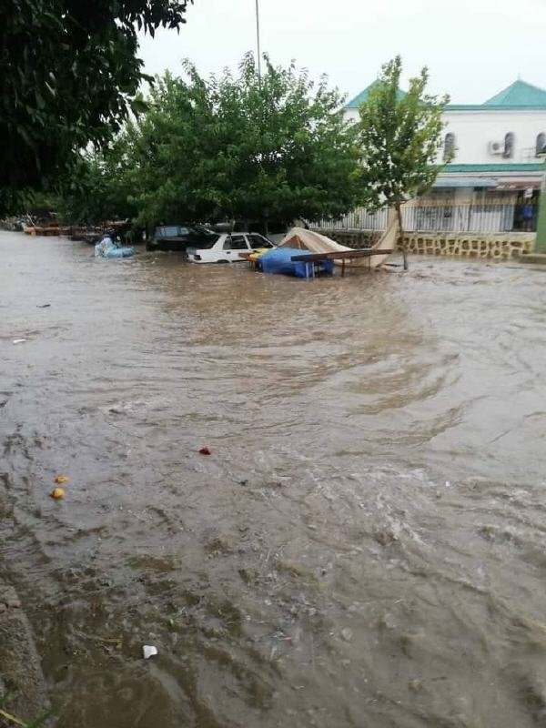 117669965 765346220881018 5106983224086550391 n - www.sabahachark.com