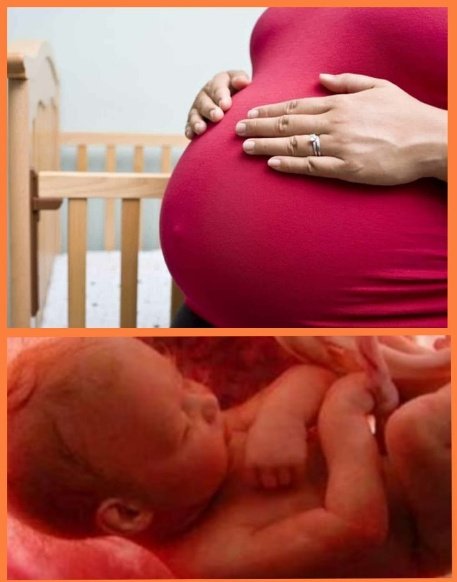 صادم: سيدة متزوجة ببركان تُجهض جنيناً وتضعه في ثلاجة