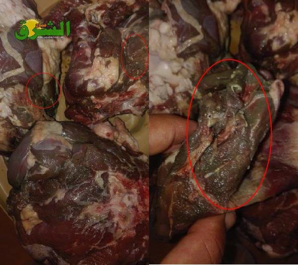 index.jpg2  - www.sabahachark.com