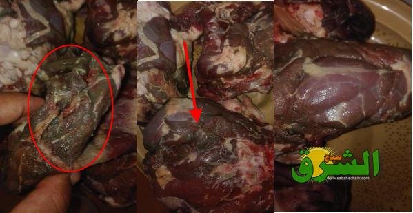 الإنقطاع المفاجئ للكهرباء يتسبب في إتلاف أضاحي العيد بالعيون الشرقية