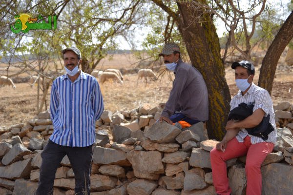 DSC 0132 - www.sabahachark.com