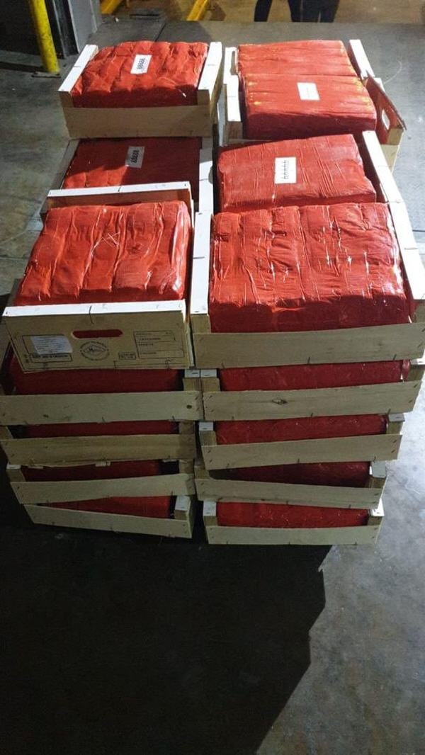 120846927 181237403567194 279310209968261516 o - www.sabahachark.com