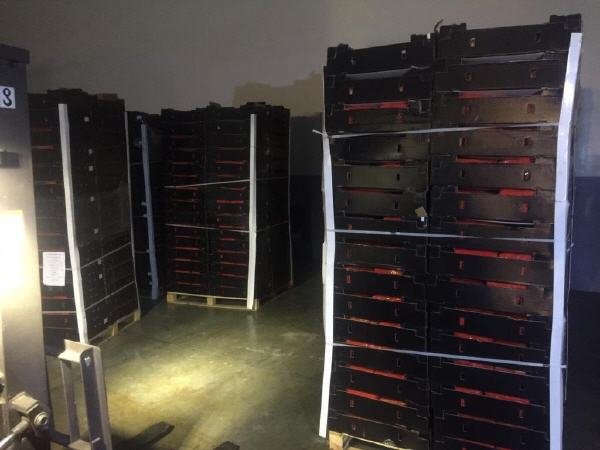 120949500 181237380233863 2519103371840972520 o - www.sabahachark.com