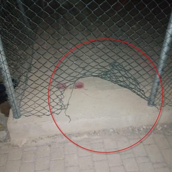 120972017 747999575930466 2041134947407420149 o - www.sabahachark.com