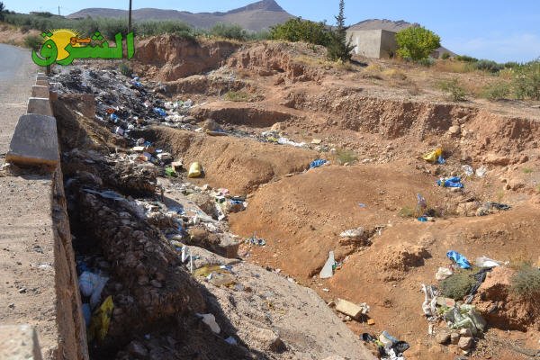 DSC 0003 - www.sabahachark.com