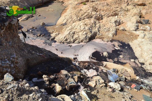 DSC 0047 - www.sabahachark.com