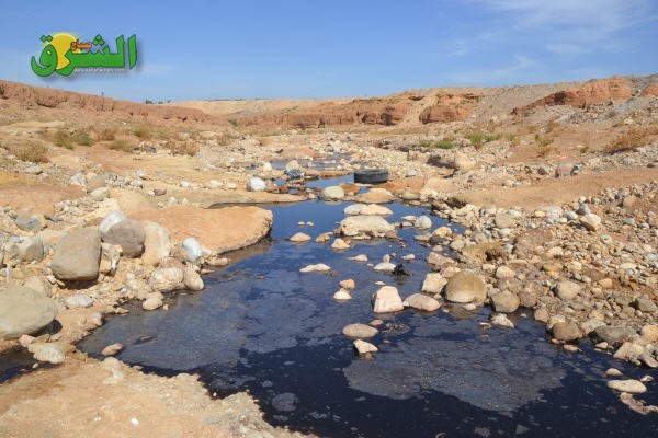 DSC 0060 - www.sabahachark.com