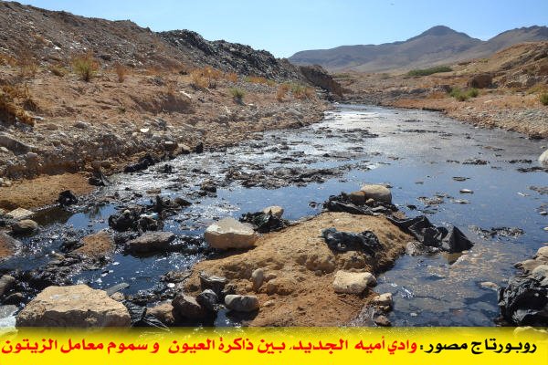 روبورتاج : وادي “أميه الجديد” بين ذاكرة العيون و سموم معامل الزيتون