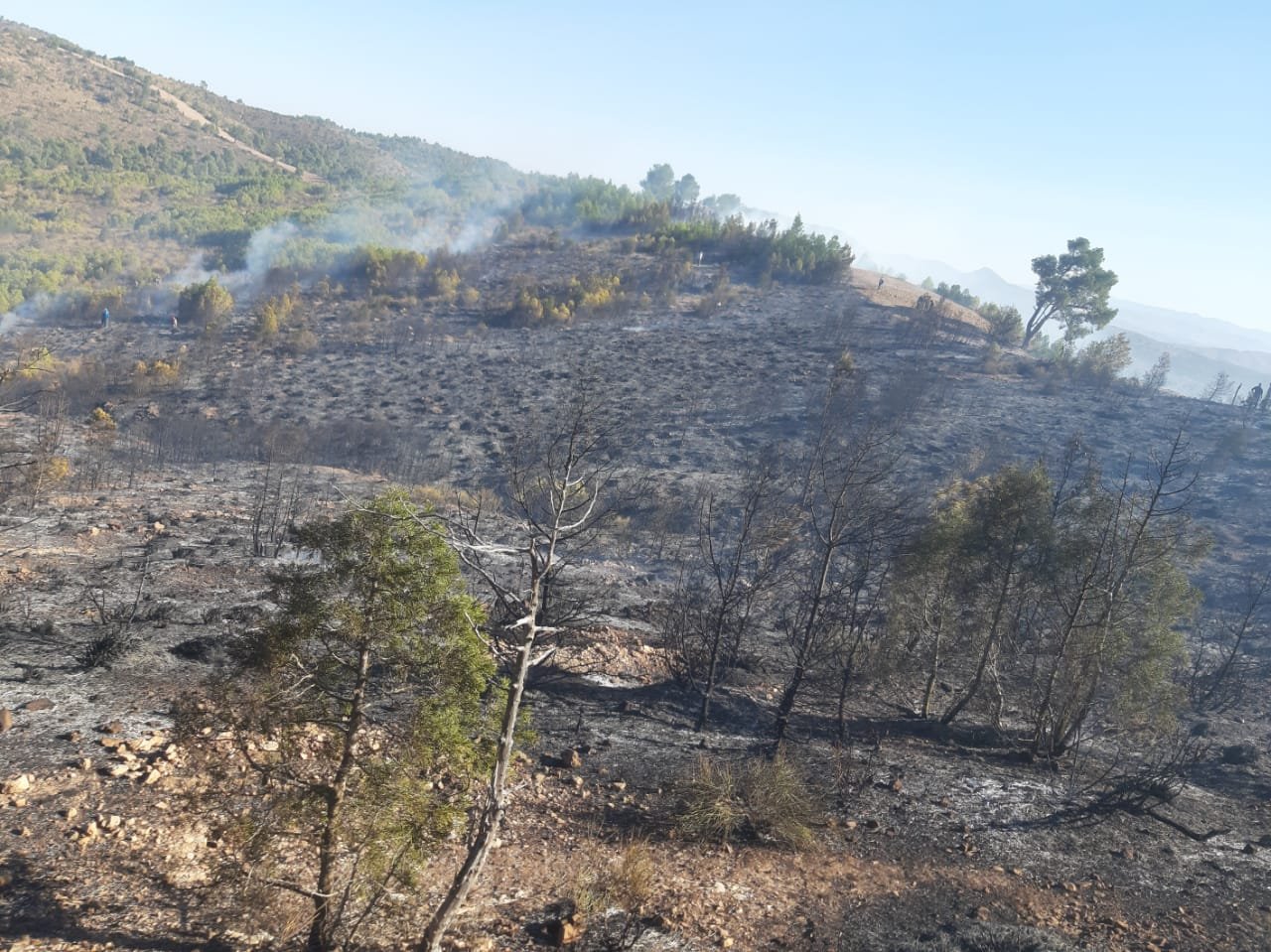 IMG 20201029 WA0007 - www.sabahachark.com