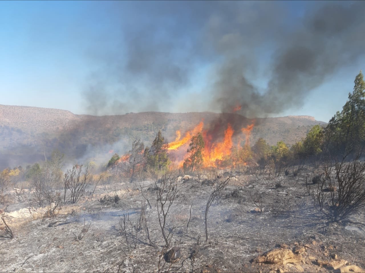نشوب حريق على مساحة 3 هكتار للمرة الثانية  في ظروف غامضة