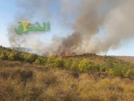 عاجل … نشوب حريق مهول بغابة “ثناريث” بتراب جماعة مشرع حمادي
