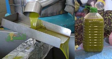 مركز التميز لزيت الزيتون يتوقع تمركز المغرب في مراتب متقدمة من حيث إنتاج زيت الزيتون موسم 2020-2021