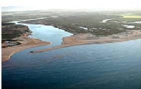 حماية مصب ملوية وتنوعه البيولوجي عبر الديمقراطية التشاركية” مشروع التجمع البيئي لشمال المغرب”