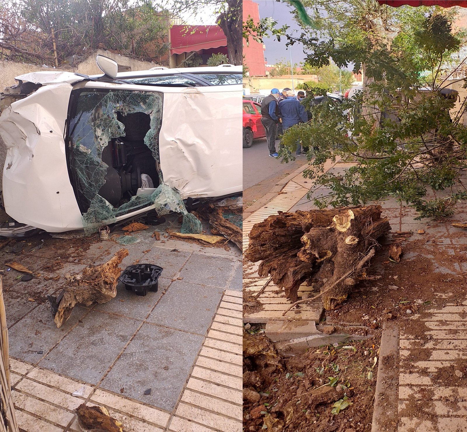  12 scaled - www.sabahachark.com