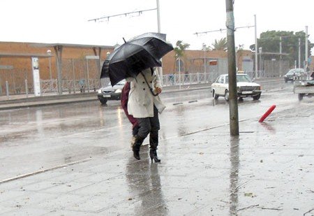  مطرية - www.sabahachark.com