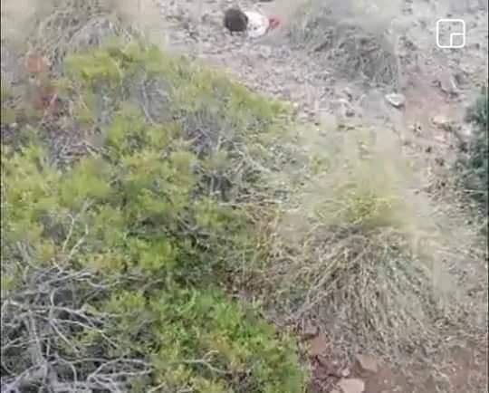 FB IMG 1607793719537 - www.sabahachark.com