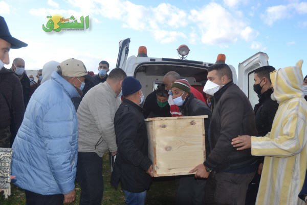 DSC 0109 - www.sabahachark.com